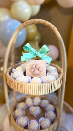 WhatsApp Image 2024-08-30 at 16.28.03