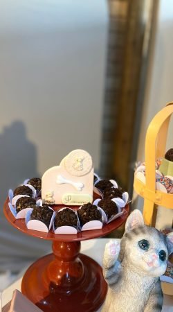 WhatsApp Image 2024-08-30 at 16.28.04