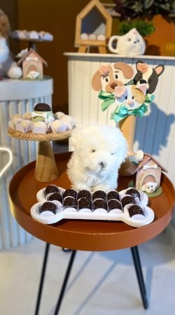 WhatsApp Image 2024-08-30 at 16.28.06